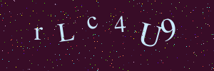 Validation image